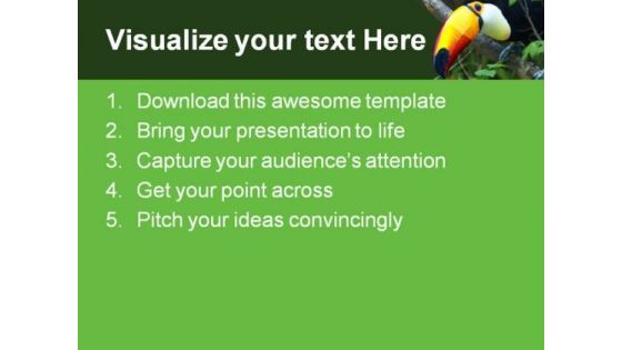 Toucan Animals PowerPoint Themes And PowerPoint Slides 0511