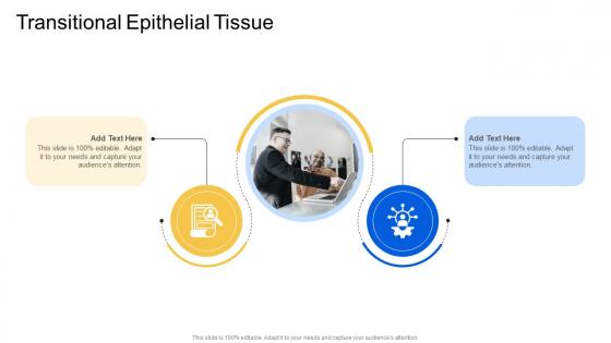 Transitional Epithelial Tissue In Powerpoint And Google Slides Cpb