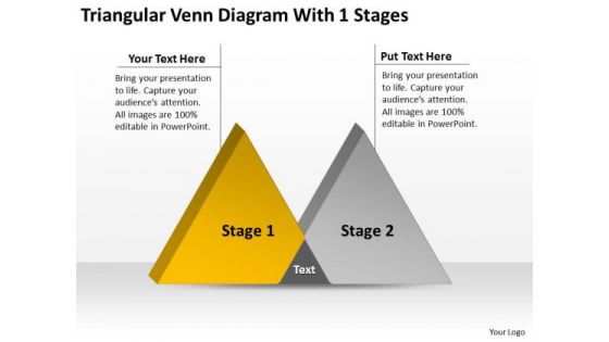 Triangular Venn Diagram With 1 Stages Ppt Carpet Cleaning Business Plan PowerPoint Slides