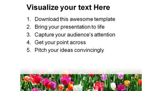 Tulip Field Beauty PowerPoint Themes And PowerPoint Slides 0211