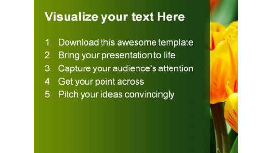 Tulips Beauty PowerPoint Templates And PowerPoint Backgrounds 0211