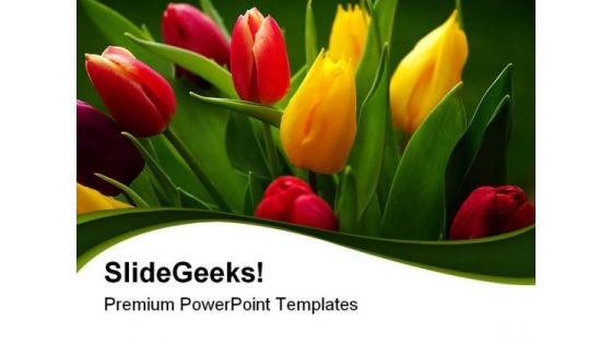 Tulips Bouquet Beauty PowerPoint Templates And PowerPoint Backgrounds 0311