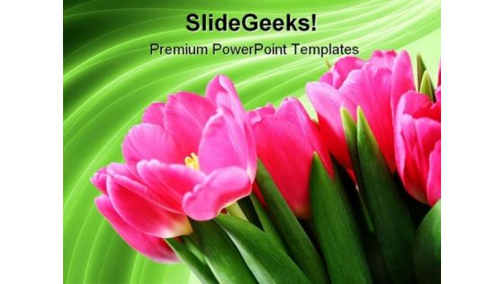 Tulips On Green Abstract Beauty PowerPoint Templates And PowerPoint Backgrounds 0311