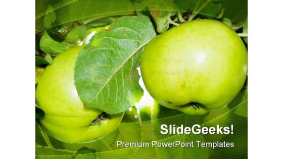 Two Apples In A Tree Nature PowerPoint Templates And PowerPoint Backgrounds 0211