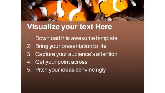 Two Clown Fishes Animals PowerPoint Templates And PowerPoint Backgrounds 0211