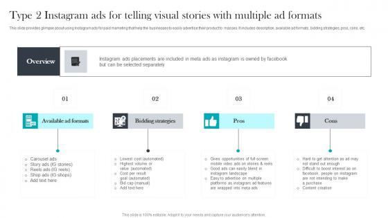 Type 2 Instagram Ads For Paid Media Advertising For Optimizing Customer Background Pdf