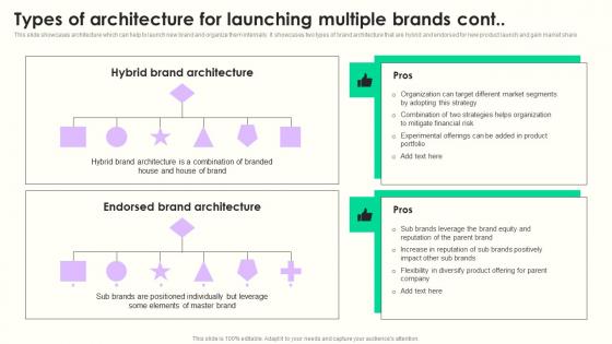 Types Of Architecture Launching Maximizing Sales Via Online Brand Marketing Strategies Template Pdf