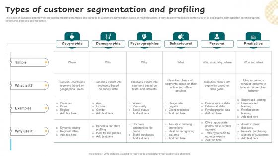 Types Of Customer Segmentation And Profiling Successful Guide For Market Segmentation Professional Pdf