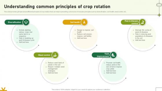Understanding Common Principles Of Crop Rotation Adopting Sustainable Farming Techniques