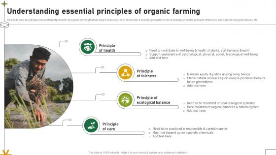 Understanding Essential Principles Of Organic Farming Adopting Sustainable Farming Techniques