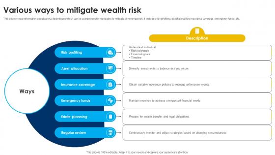 Various Ways To Mitigate Wealth Risk Strategic Wealth Management And Financial Fin SS V Various Ways To Mitigate Wealth Risk Strategic Wealth Management And Financial Fin SS V