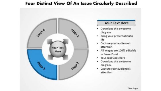 View Of An Issue Circularly Described Flow Diagram PowerPoint Templates