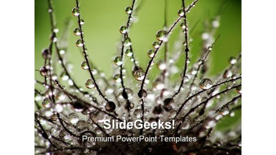 Water Drops Nature PowerPoint Backgrounds And Templates 1210