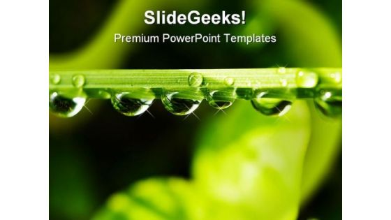 Water Drops On Leaf Nature PowerPoint Backgrounds And Templates 1210