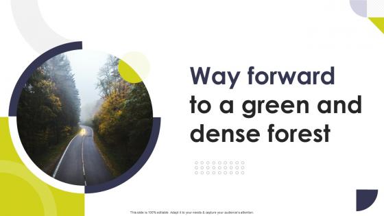 Way Forward To A Green And Dense Forest Way Forward Ppt Template