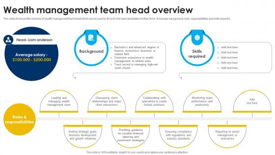 Wealth Management Team Head Overview Strategic Wealth Management And Financial Fin SS V