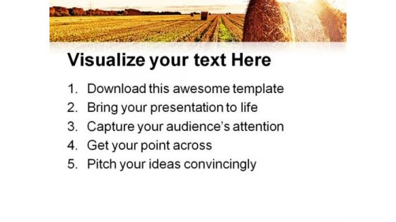 Wheat Field Agriculture PowerPoint Templates And PowerPoint Backgrounds 0511