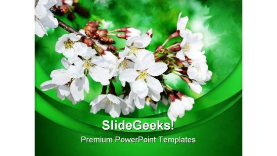 White Flowers On Branch Nature PowerPoint Templates And PowerPoint Backgrounds 0311