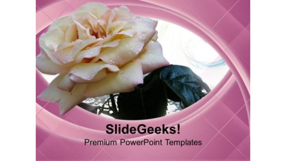 White Rose Is Symbol Of Peace PowerPoint Templates Ppt Backgrounds For Slides 0613