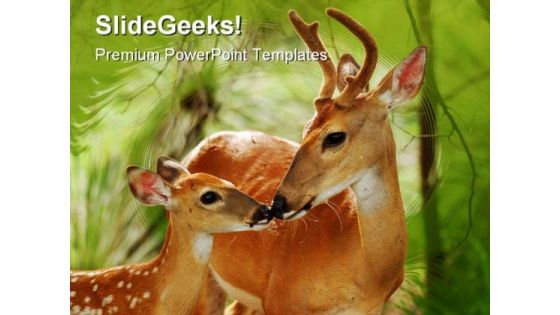 White Tail Buck Animal PowerPoint Template 0810