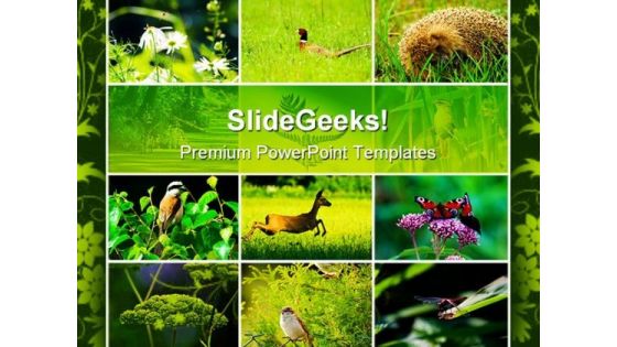 Wild Nature Animals PowerPoint Templates And PowerPoint Backgrounds 0511
