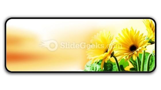 Yellow Daises PowerPoint Icon R