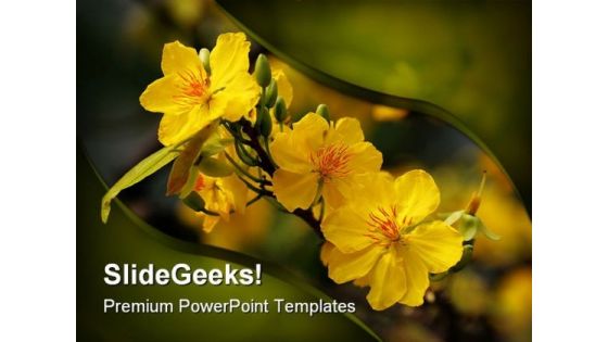 Yellow Flower Nature PowerPoint Templates And PowerPoint Backgrounds 0211