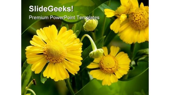 Yellow Flowers Beauty PowerPoint Templates And PowerPoint Backgrounds 0211