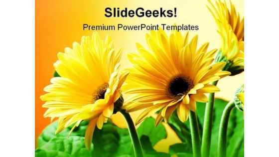 Yellow Flowers Beauty PowerPoint Templates And PowerPoint Backgrounds 0311