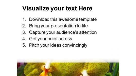 Yellow Orchids Beauty PowerPoint Templates And PowerPoint Backgrounds 0211
