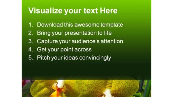 Yellow Orchids Beauty PowerPoint Templates And PowerPoint Backgrounds 0211