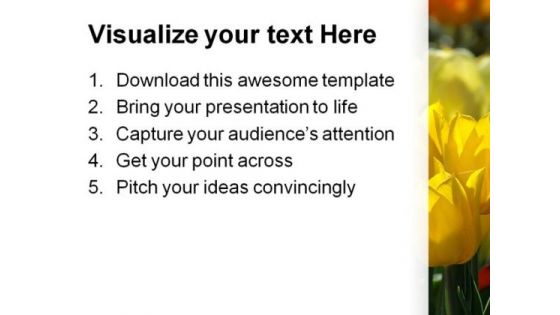 Yellow Tulips Beauty PowerPoint Templates And PowerPoint Backgrounds 0311