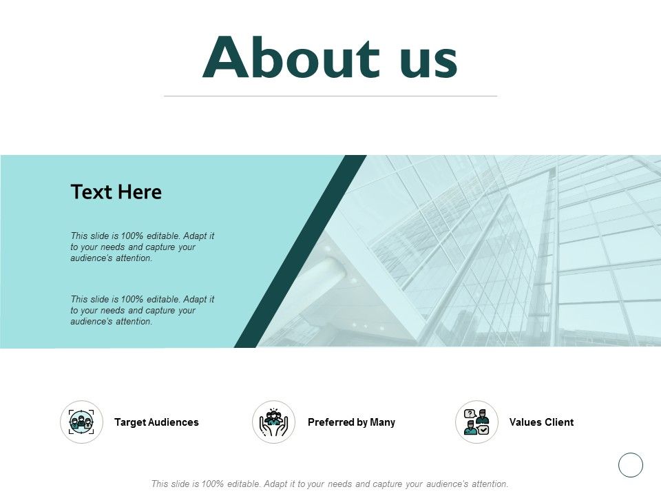 About_Us_Target_Audiences_Preferred_By_Many_Ppt_PowerPoint_Presentation_Icon_Information_Slide_1.jpg