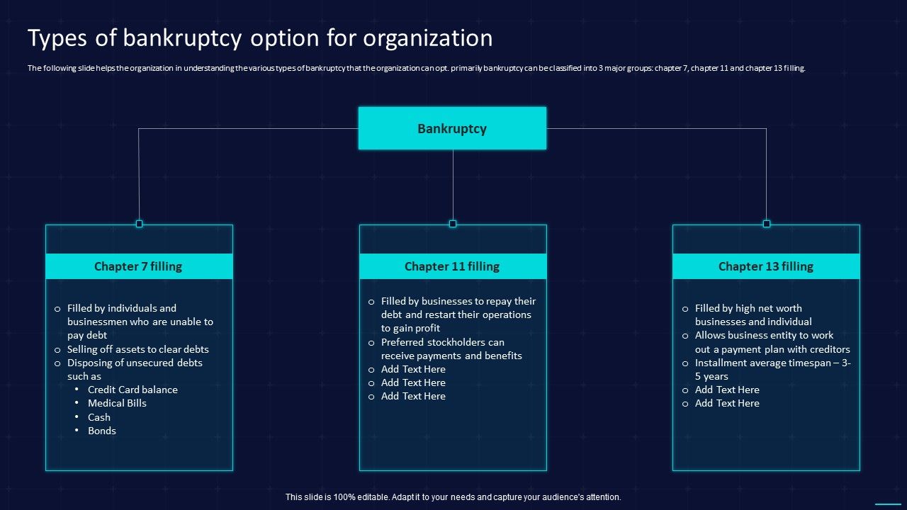 Action_Plan_To_Implement_Exit_Strategy_For_Investors_Types_Of_Bankruptcy_Option_For_Organization_Slides_PDF_Slide_1.jpg
