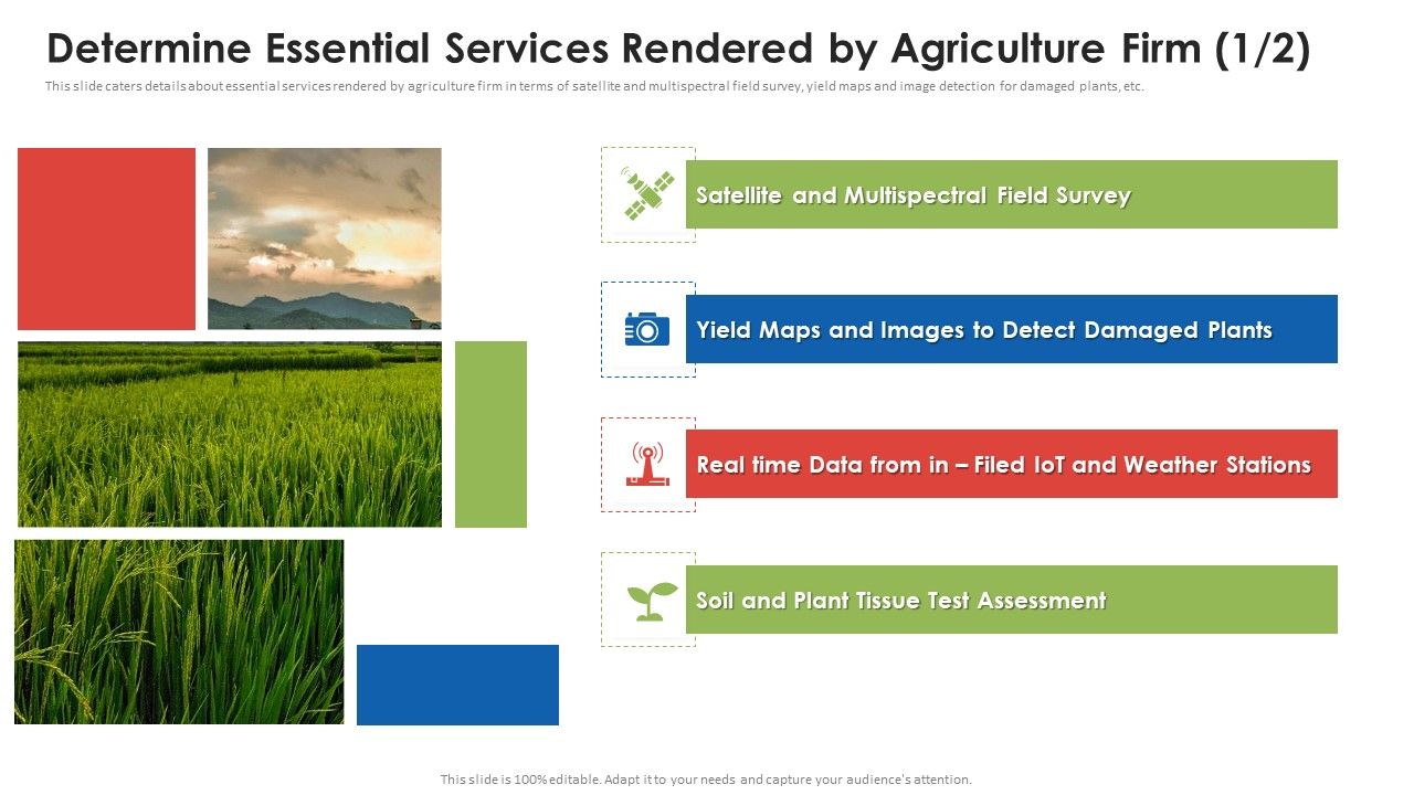 Agribusiness_Startup_Determine_Essential_Services_Rendered_By_Agriculture_Firm_Infographics_PDF_Slide_1.jpg