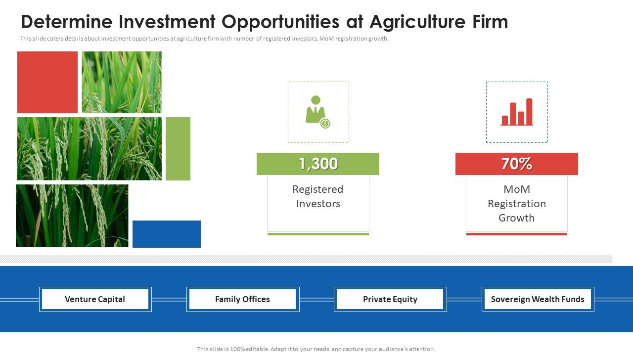 Agribusiness_Startup_Determine_Investment_Opportunities_At_Agriculture_Firm_Summary_PDF_Slide_1.jpg
