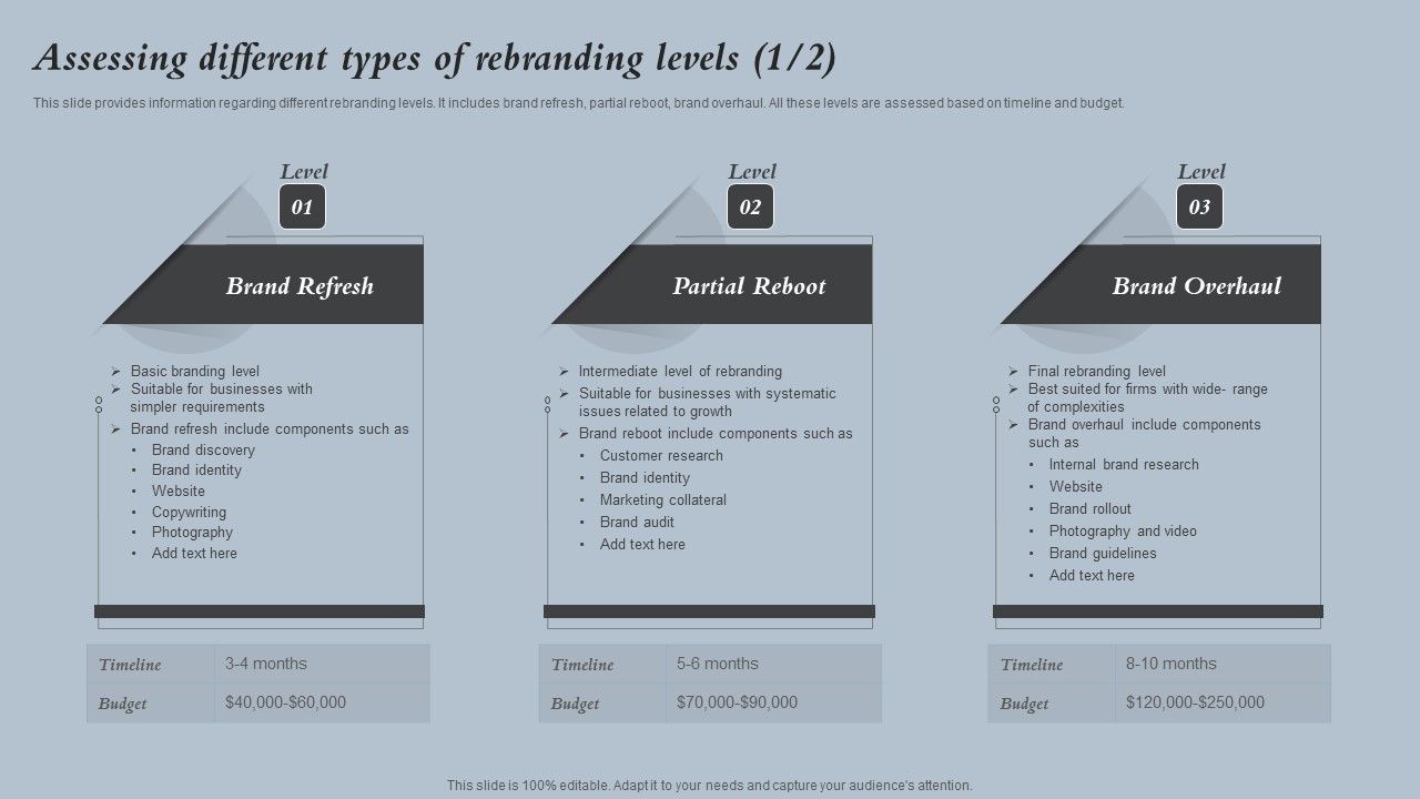Assessing_Different_Types_Of_Rebranding_Levels_Strategies_For_Rebranding_Without_Losing_Sample_PDF_Slide_1.jpg