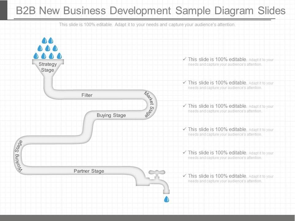 B2b_New_Business_Development_Sample_Diagram_Slides_1.jpg