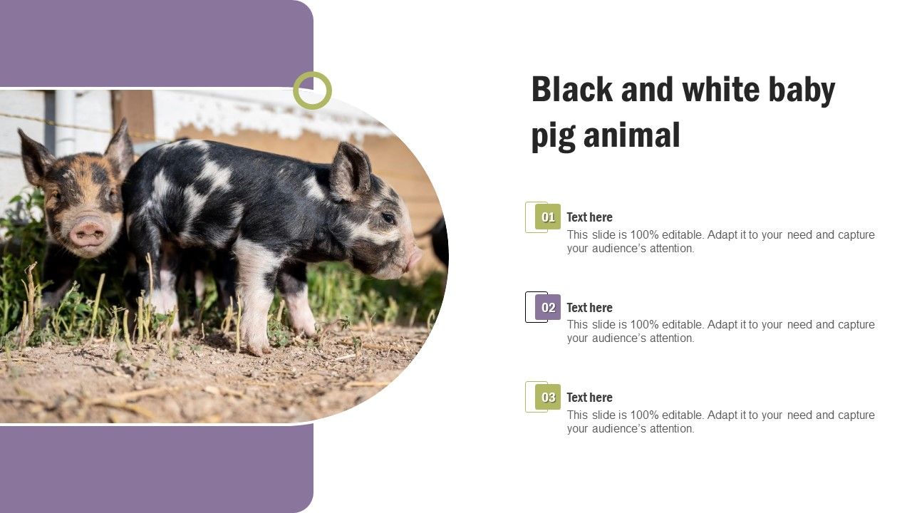 Black_And_White_Baby_Pig_Animal_Inspiration_PDF_Slide_1.jpg