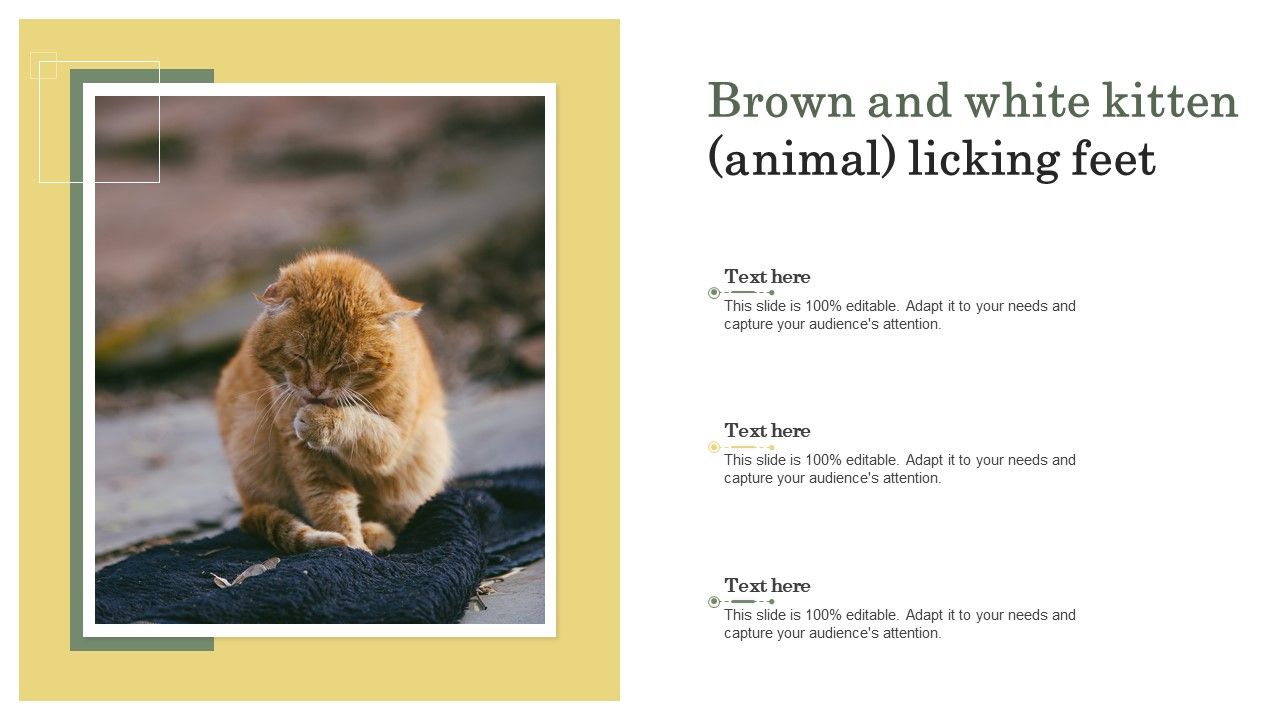 Brown_And_White_Kitten_Animal_Licking_Feet_Ppt_PowerPoint_Presentation_Diagram_Templates_PDF_Slide_1.jpg