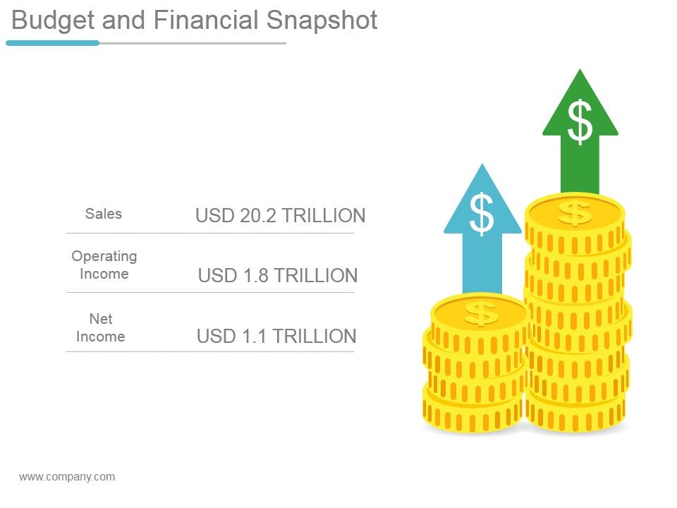 Budget_And_Financial_Snapshot_Ppt_PowerPoint_Presentation_Example_Slide_1.jpg
