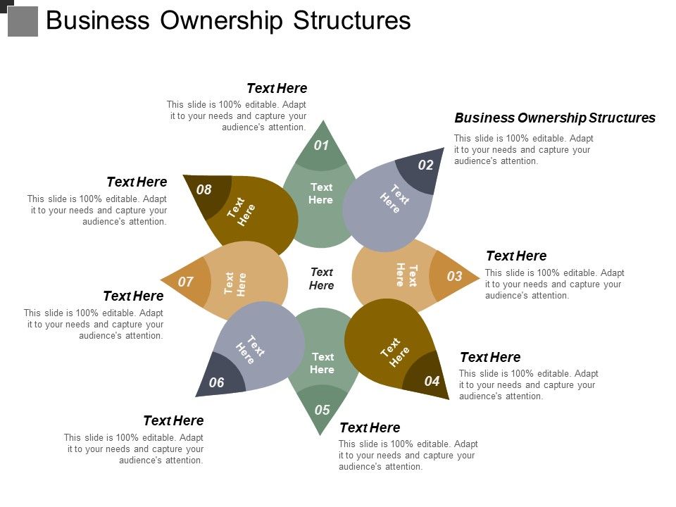 Business_Ownership_Structures_Ppt_PowerPoint_Presentation_Layouts_Graphics_Design_Cpb_Slide_1.jpg