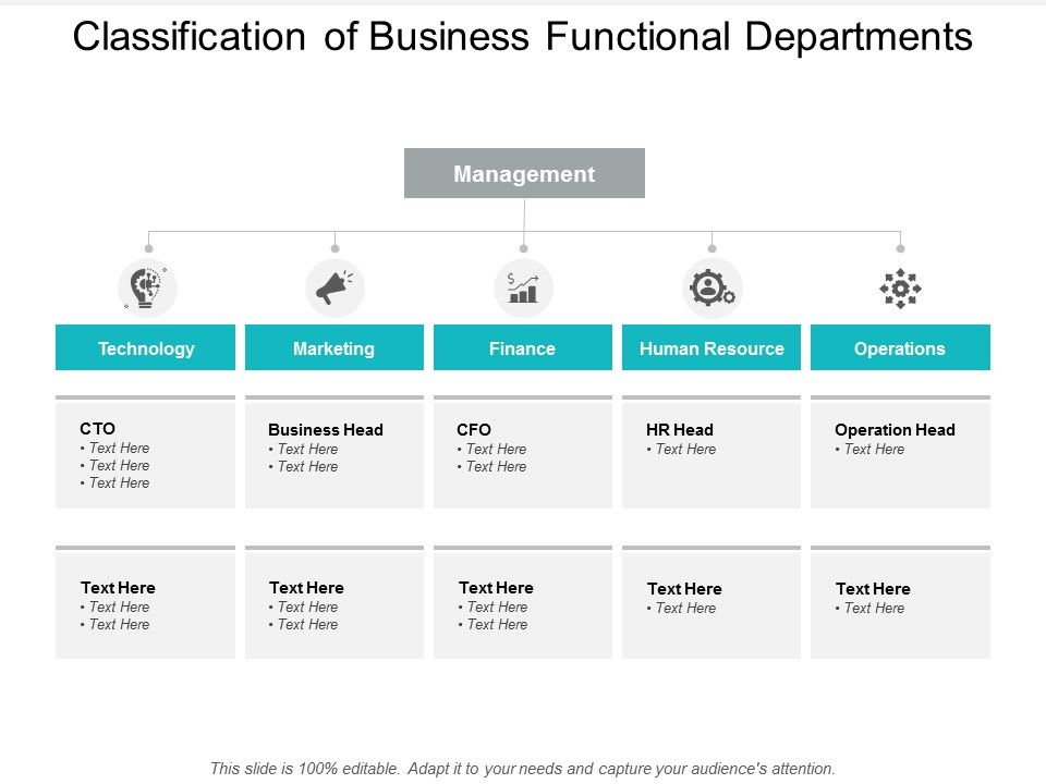 Classification_Of_Business_Functional_Departments_Ppt_PowerPoint_Presentation_Pictures_Templates_Slide_1.jpg