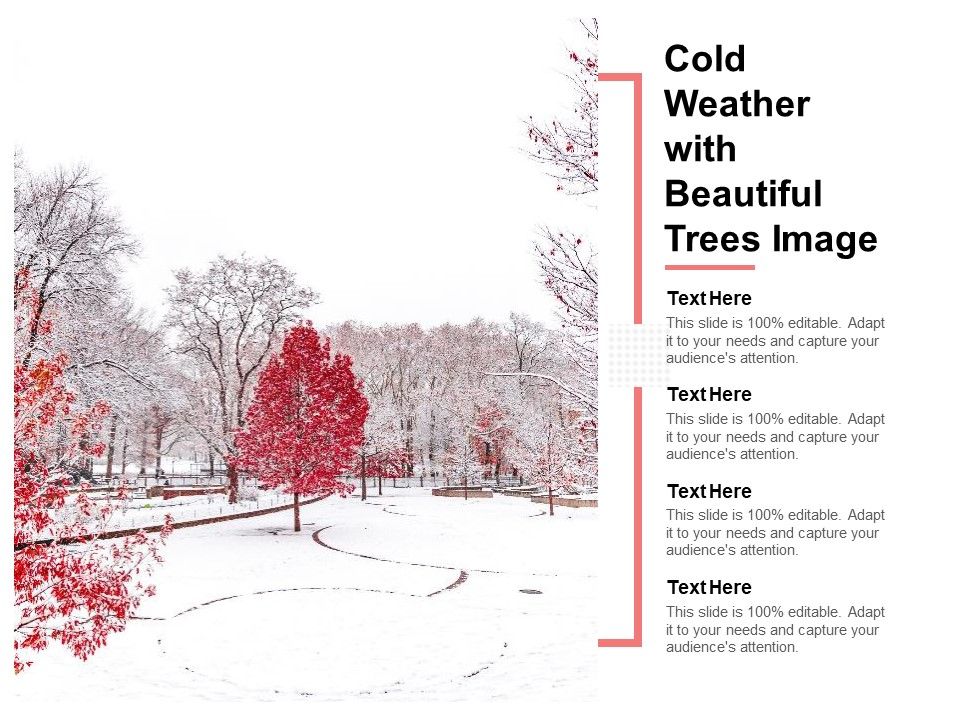 Cold_Weather_With_Beautiful_Trees_Image_Ppt_PowerPoint_Presentation_File_Template_Slide_1.jpg