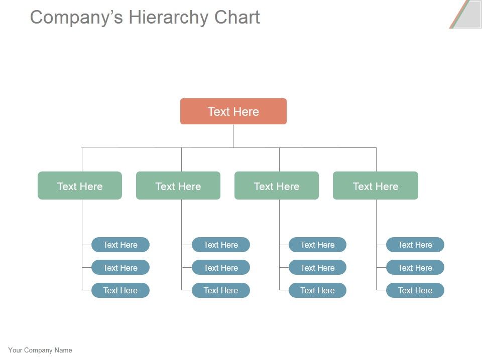Companys_Hierarchy_Chart_Ppt_PowerPoint_Presentation_Portfolio_Slide_1.jpg