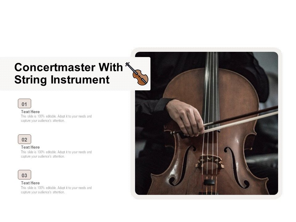 Concertmaster_With_String_Instrument_Ppt_PowerPoint_Presentation_Icon_Mockup_PDF_Slide_1.jpg