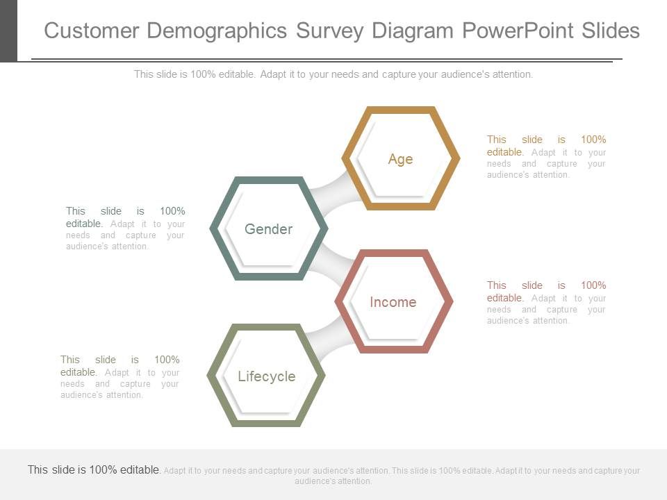 Customer_Demographics_Survey_Diagram_Powerpoint_Slides_1.jpg