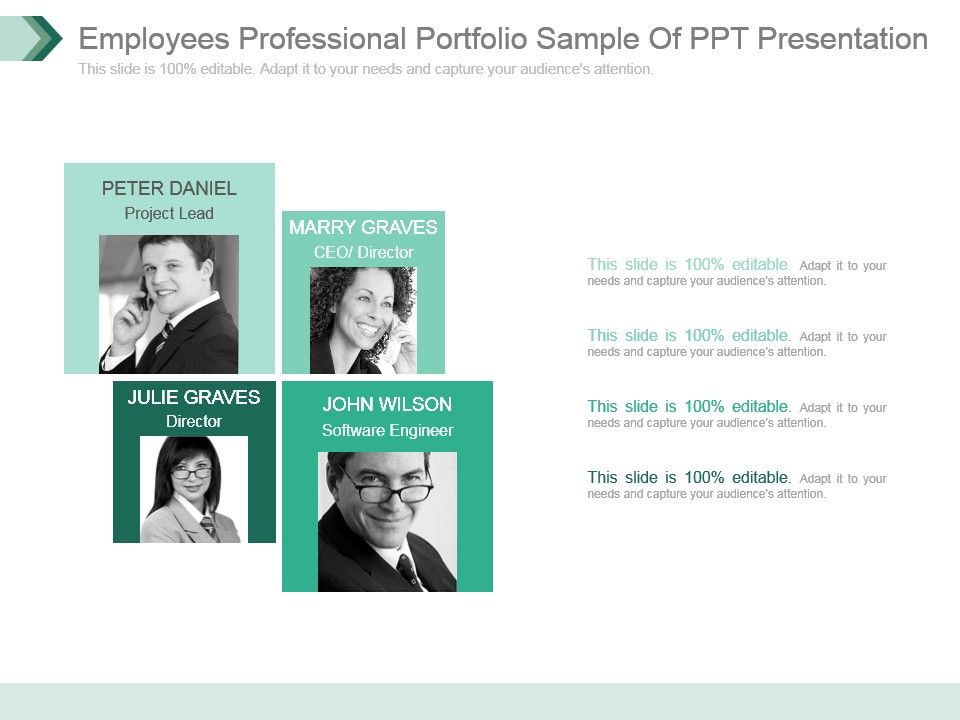 Employees_Professional_Portfolio_Sample_Of_Ppt_Presentation_1.jpg