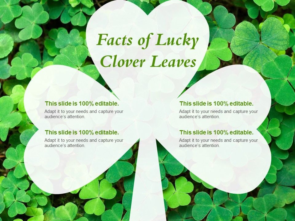 Facts_Of_Lucky_Clover_Leaves_Ppt_PowerPoint_Presentation_Infographic_Template_Designs_Slide_1.jpg