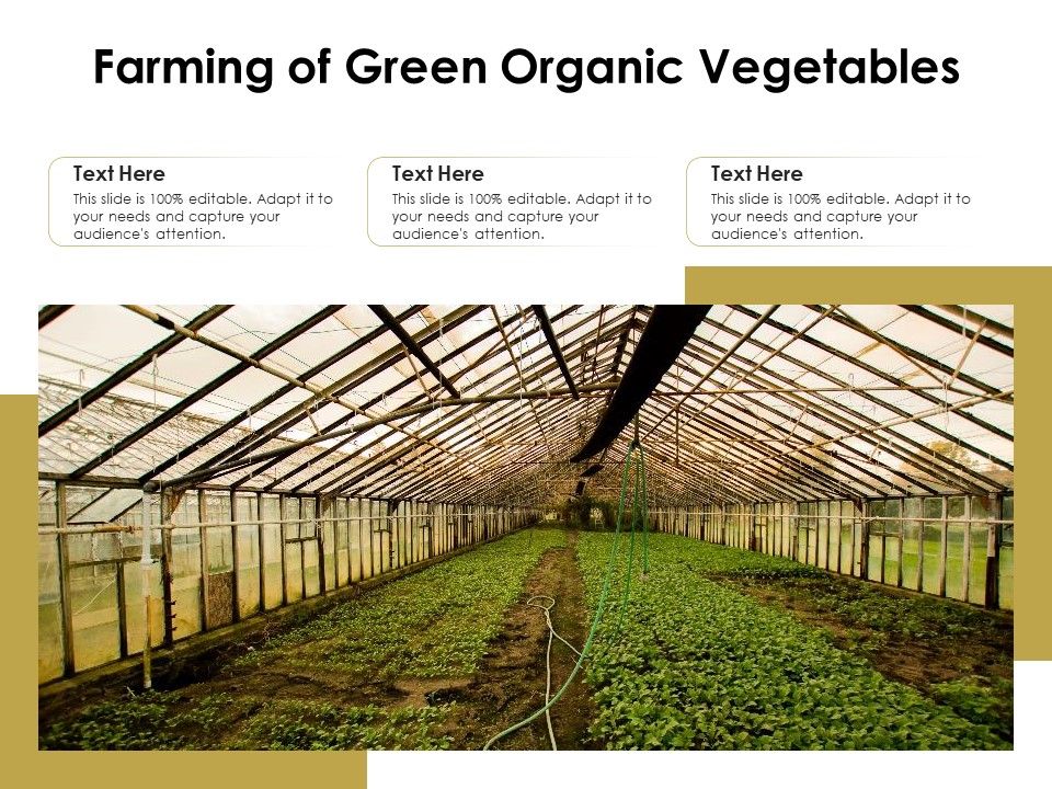 Farming_Of_Green_Organic_Vegetables_Ppt_PowerPoint_Presentation_Deck_PDF_Slide_1.jpg